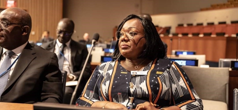 Côte d’Ivoire-AIP/ Anne Ouloto à la 22ème session du comité d’experts sur l’Administration publique à l’ONU